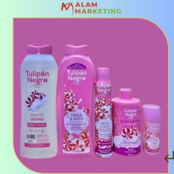Tulipàn Negro Pack x5