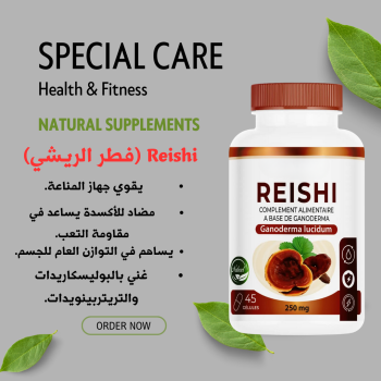 Reishi Mushroom – فطر الريشي